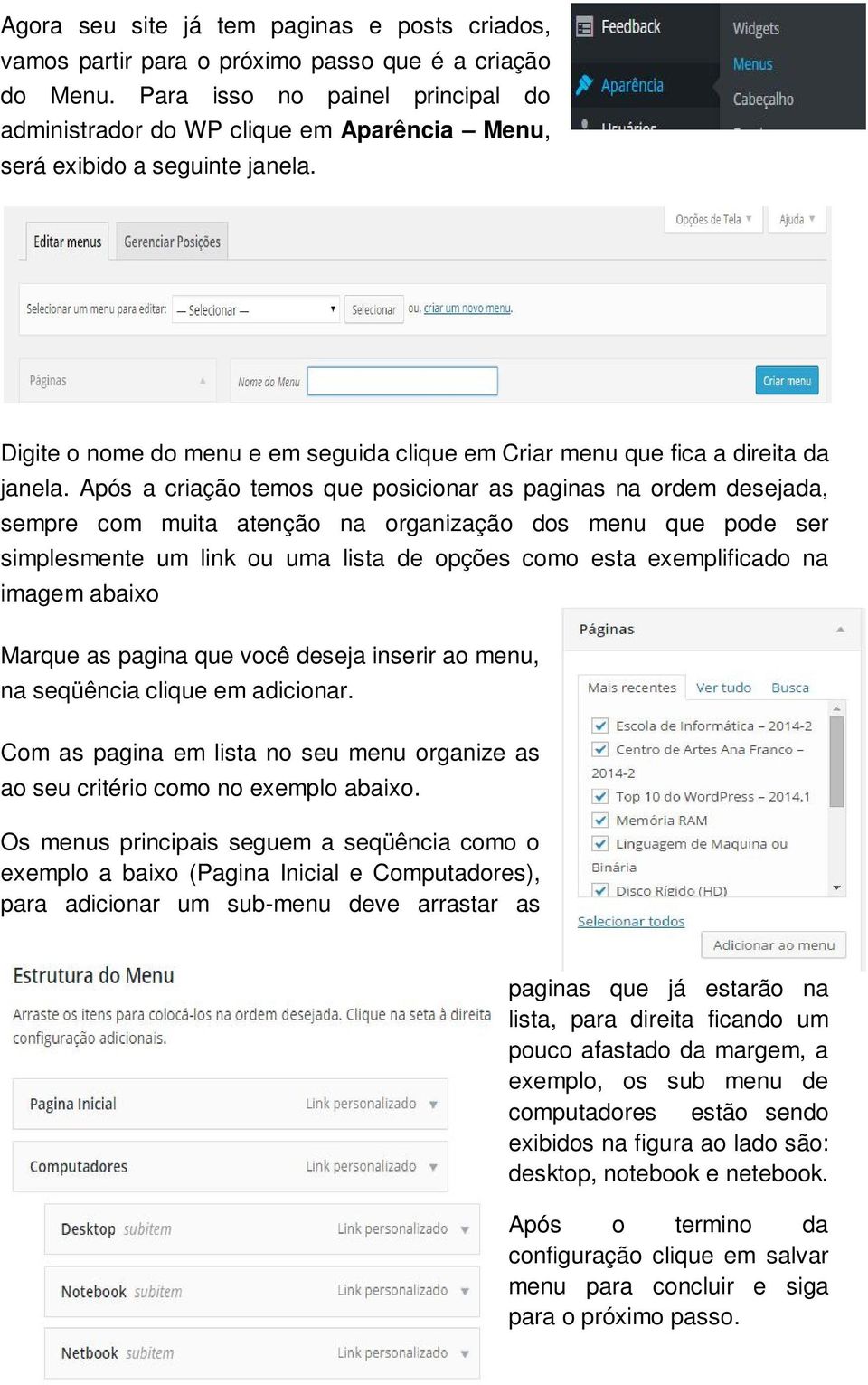 Após a criação temos que posicionar as paginas na ordem desejada, sempre com muita atenção na organização dos menu que pode ser simplesmente um link ou uma lista de opções como esta exemplificado na