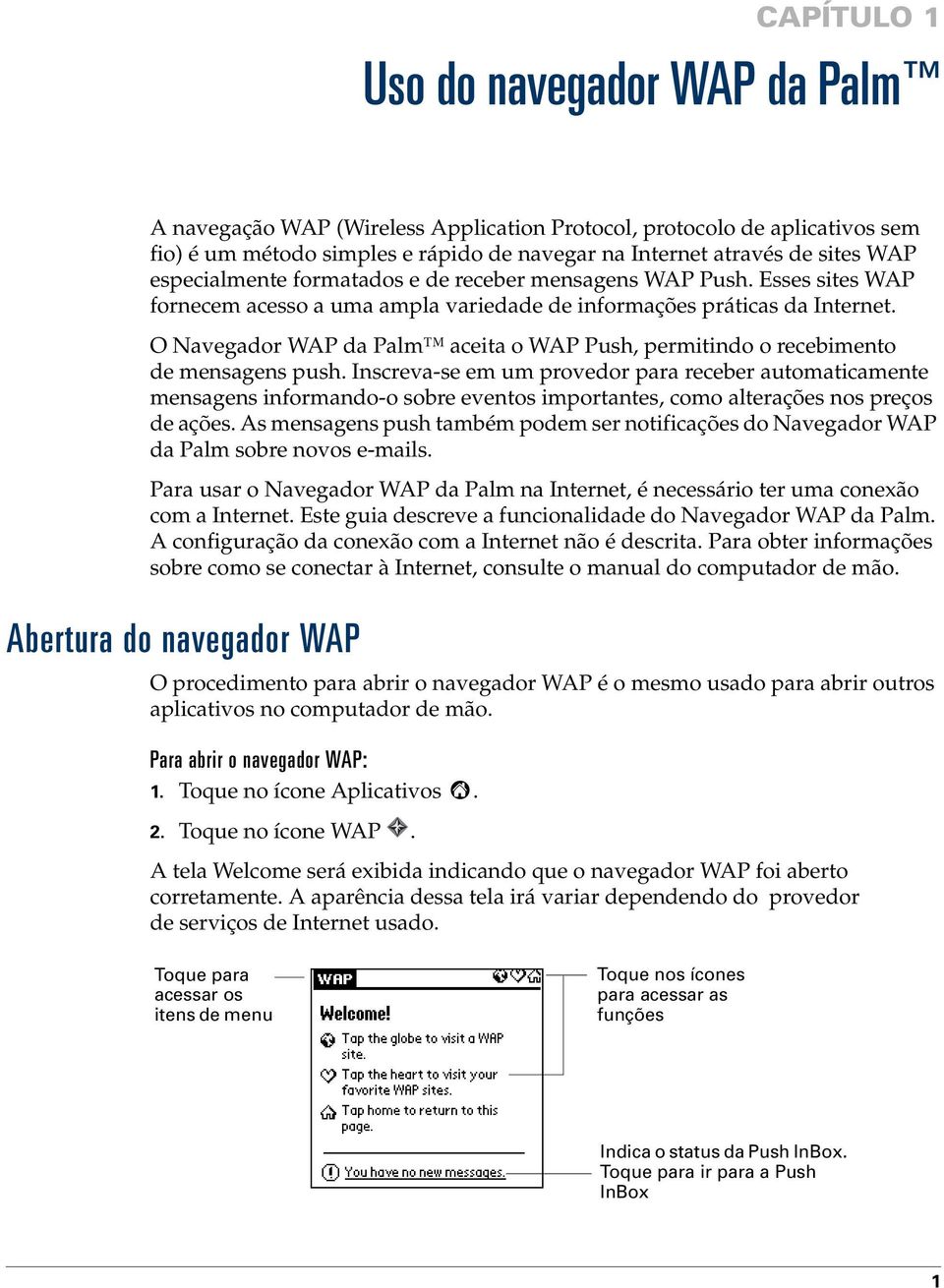 O Navegador WAP da Palm aceita o WAP Push, permitindo o recebimento de mensagens push.