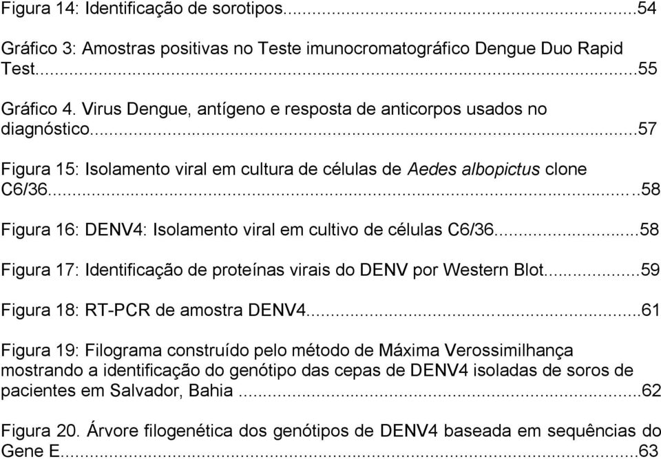 ..58 Figura 16: DENV4: Isolamento viral em cultivo de células C6/36...58 Figura 17: Identificação de proteínas virais do DENV por Western Blot...59 Figura 18: RT-PCR de amostra DENV4.