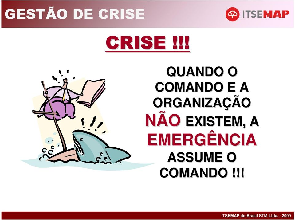 ORGANIZAÇÃO NÃO EXISTEM, A