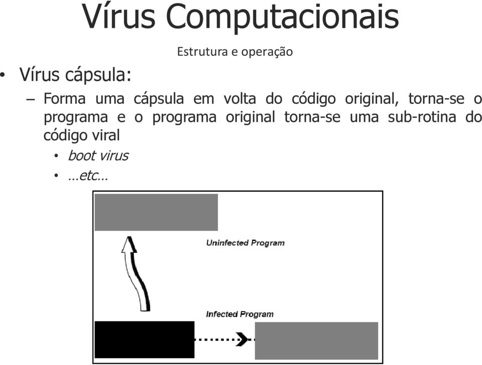 programa e o programa original torna-se uma