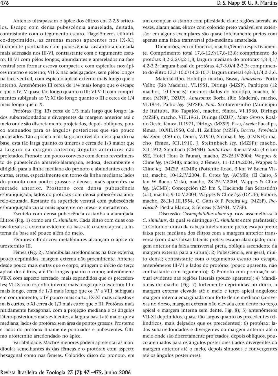 com pêlos longos, abundantes e amarelados na face ventral sem formar escova compacta e com espículos nos ápices interno e externo; VII-X não adelgaçados, sem pêlos longos na face ventral, com