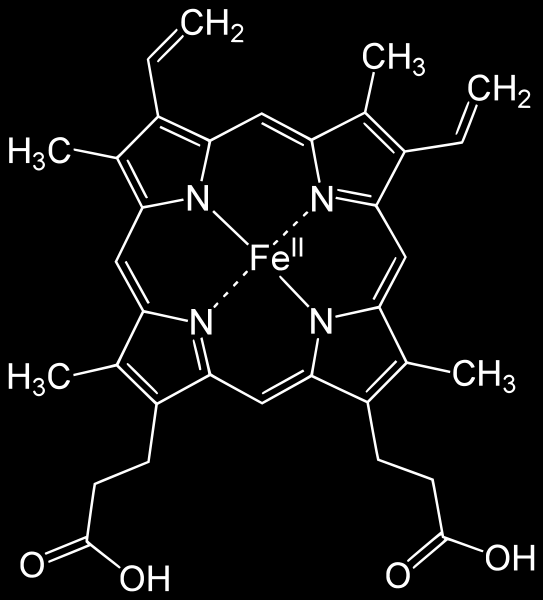 Grupo Heme Do grego, significa sangue. Sinônimo do grupo ferro-porfirina. Hb é feita de 4 subunidades de cadeia peptídicas. Liga-se a 4 moléculas de O.
