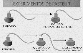 c) Explique o experimento de Pasteur. (0,2) A fervura do caldo nutritivo líquido mata os microrganismos que podem existir previamente no frasco.