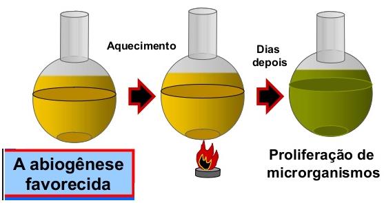 O experimento de Needham Realizou seu experimento em 1745 para provar que os microrganismos surgem de geração espontânea; Após ferver