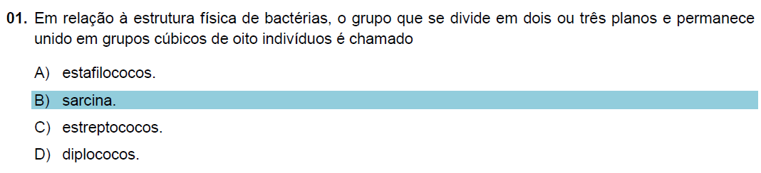 A) estafilococos B) sarcina