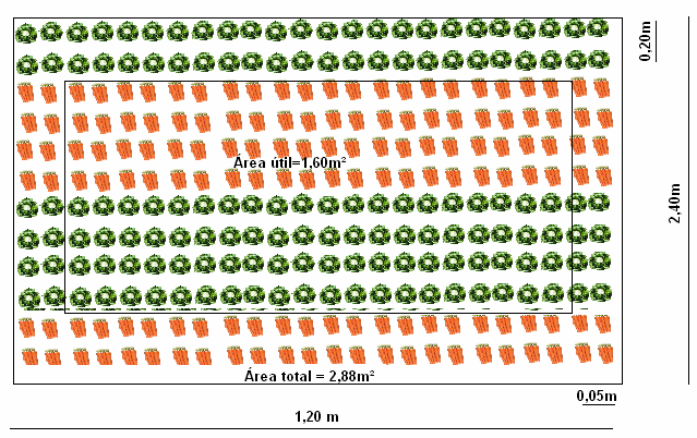 Figura 2 Representação gráfica da parcela experimental no sistema de cultivo consorciado de cenoura ( ) e rúcula ( ) em faixas.