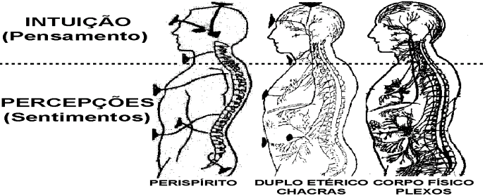 MEDIUNIDADE O QUE É? Mediunidade é a faculdade humana, pela qual se estabelecem as relações entre homens e os espíritos. Todos nós possuímos mediunidade, embora em diferentes graus.