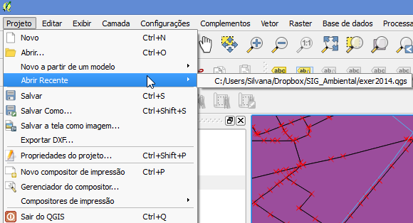 QGIS - Projeto Os tipos de informacoes que pode ser salvas em um projeto incluem: Camadas