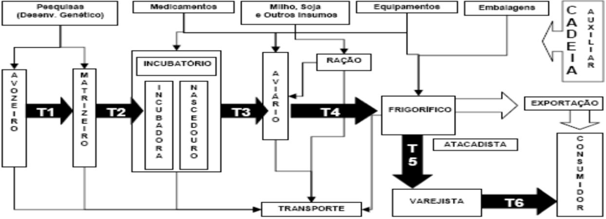 5 Figura 1 - Cadeia Produtiva Avicultura de Corte Produto r Rural Fonte: Adaptado de Michels e Gordin (2004); Araújo et. al. (2008).