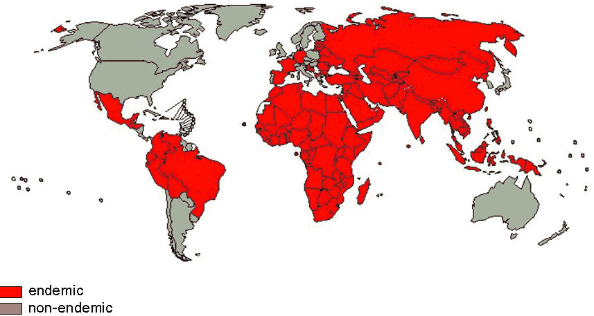 The Global Eradication of Polio