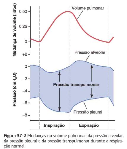 Mecânica da Respiração Interações Pulmão-Parede Torácica Pulmão e parede torácica movimentam-se em conjunto.