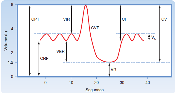 Mecânica da Respiração Volumes Pulmonares VR/CPT Capacidade Vital (CV): vol. total de ar expirado, capaz de ser movimentado. Volume residual: permanece nos pulmões após expiração máxima.