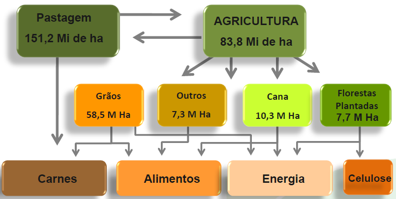 Uso do Solo no Sistema Agropecuário Brasileiro Brasil: 851,6 milhões de