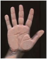 2.2 Reconhecimento Biométrico Baseado na Geometria da Mão 13 como pode ser constatado na Figura 2.