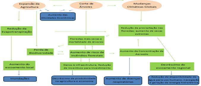 As complexas interações entre clima, uso do solo, fogo, hidrologia, ecologia e dimensões humanas na Amazônia As complexas interações entre clima, uso do solo, fogo,