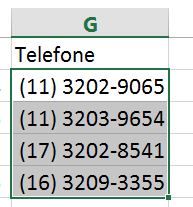 Na caixa Tipo, digite o valor indicado a seguir: (00) 0000-0000 Veja que indicamos pelo caractere zero (0) o local na formatação onde o número será posicionado.