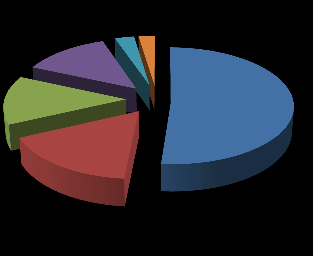 Composição gravimétrica dos Resíduos Sólidos Urbanos 13,10% 2,90% 2,40% Matéria Orgânica 13,50% 16,70% 51,40% Outros Plástico Papel,