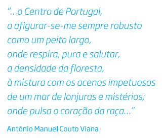 estruturas económicas e sociais da região.