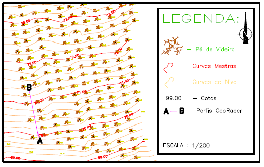 Fig. 2 Localização dos bardos e dos perfis de georadar realizados. Os radargramas obtidos foram posteriormente processados com o software especializado.