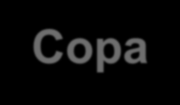 000 pessoas Tempo de percurso: 19 minutos (Expresso da Copa) Distância do estádio: 900 metros Em dias