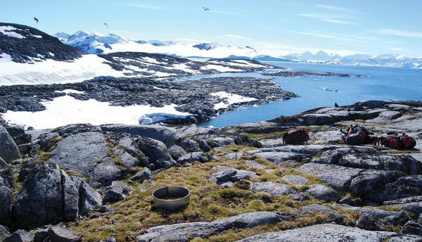 Como praticamente não há solo na Antártica a vegetação é rara representado por musgos, liquens e poucas