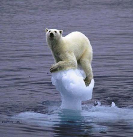 Por outro lado, preocupações com o aquecimento global apontam para as regiões polares.