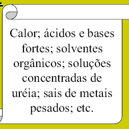 Desnaturação Uma alteração drástica na estrutura tridimensional nativa de uma proteína e que corresponde a uma alteração de suas