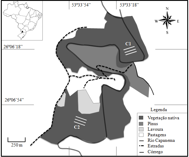 Mamíferos terrestres em Mata Atlântica do Paraná 113 a área de estudo e, em áreas antropizadas, apresenta mata ciliar constituída de vegetação em estágios iniciais ou intermediários de sucessão ou