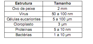 3 0,1 mm de tamanho podem ser vistas bem definidas por uma pessoa com ótima visão. Observe a tabela a seguir, em que constam tamanhos médios de algumas estruturas.