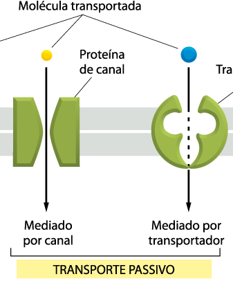 Membranas celulares - Transporte DIFUSÃO ATRAVÉS DE MEMBRANAS CELULARES DIFUSÃO