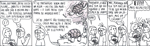 5. Qual é o significado do nome anfíbio? 6. Qual é a forma de polinização da gimnosperma? 7. Após ler a tirinha responda: Jabuti, tartaruga marinha e cágado pertencem a um grupo que possuem casco.