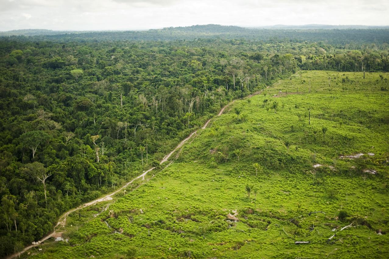 AJUSTE DE ESTRATÉGIAS EM 2013 Território Sustentável São Felix do Xingu Sustainable Landscape