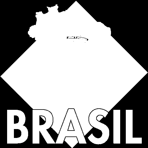 17 TÉCNICA OUVE A VOZ DO BRASIL Um pouco menos da metade da população brasileira sintoniza A Voz do Brasil (41%), mesmo que de vez em quando.