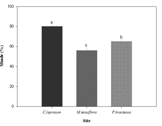 Figura 1. Média do índice de diversidade dos ambientes influenciados pelas copas de C. leprosum, P. bracteosa e M. tenuiflora e da área aberta nas três áreas de estudo.