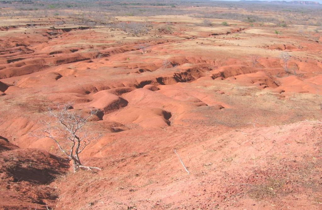 CONVENÇÃO DAS NAÇÕS UNIDAS DE COMBATE À DESERTIFICAÇÃO - UNCCD Instrumento de acordo internacional ratificado por diversos países que estabelece diretrizes para o