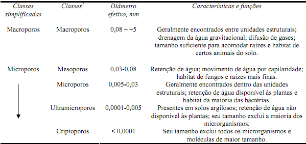 FIGURA 1.45 Representação tridimensional de uma rede de poros em um pequeno bloco de solo não deformado da França (borda de 2mm de comprimento).