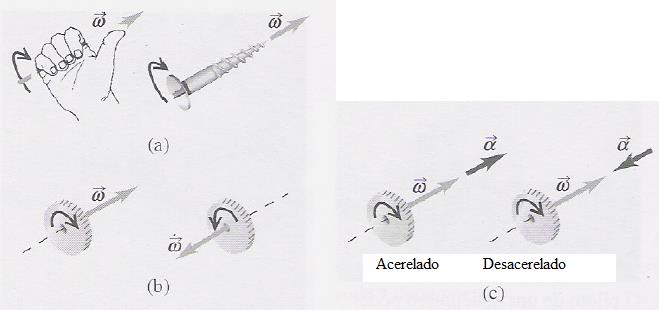 A aceleração angular instantânea, (t), é A unidade da aceleração angular é rad/s 2.