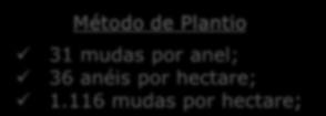 RECOMPOSIÇÃO DE RESTINGA METODOLOGIA Arranjos