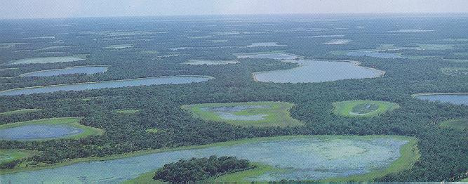 Três Grandes Ecossistemas Cerrado