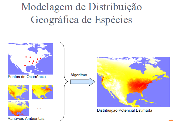 Maxent Distribuição de probabilidade potencial para toda área