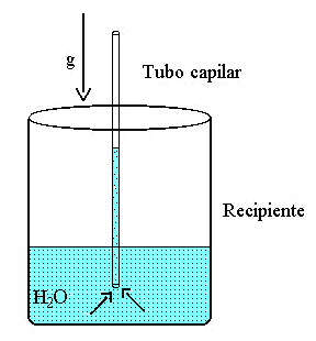 Água subindo em tubo capilar Água: forças adesivas líquido/vidro mais