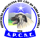 PC Jornal da Associação Jornal da Associação Portuguesa do da Serra da Estrela Março 2004 N.