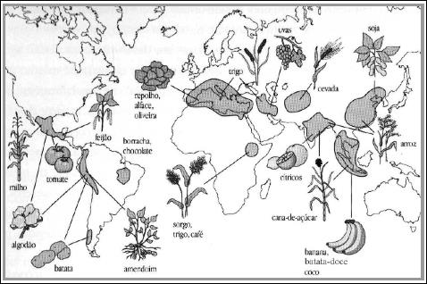 45 O gráfico representa a relação entre o tamanho e a totalidade dos imóveis rurais no Brasil. Que característica da estrutura fundiária brasileira está evidenciada no gráfico apresentado?