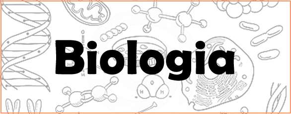 RESPONDA AS SEGUINTES QUESTÕES NO CADERNO DE BIOLOGIA. 1. O diagrama a seguir é uma pirâmide de energia. a) O que representa a largura de cada nível do diagrama?