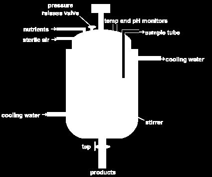 Produção