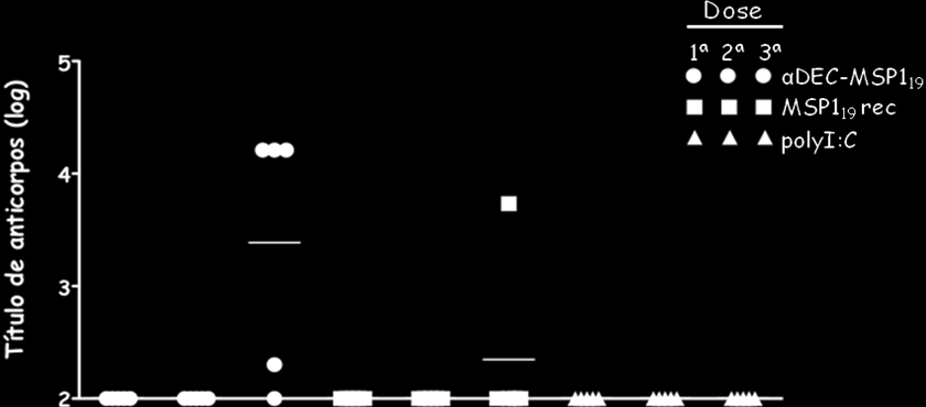59 de outra administrada somente na presença de poly I:C foi incapaz de induzir uma resposta imune humoral detectável contra a proteína MSP-1 19 recombinante, apesar da resposta imune celular