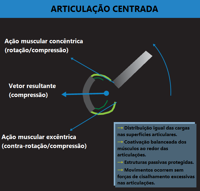 O centramento articular provê uma distribuição de forças através da articulação de maneira equilibrada e eficiente.