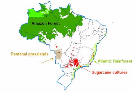 Etanol Matérias primas para a produção de etanol