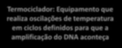 DNA polimerase Termociclador: Equipamento que realiza